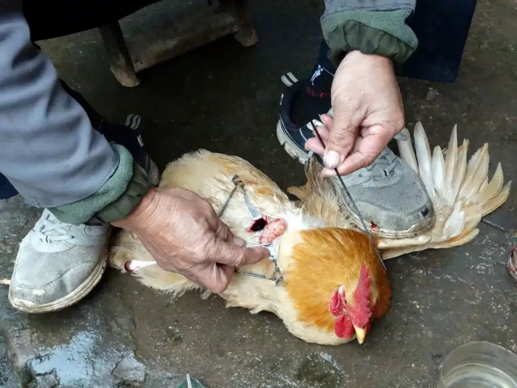 An image to describe post