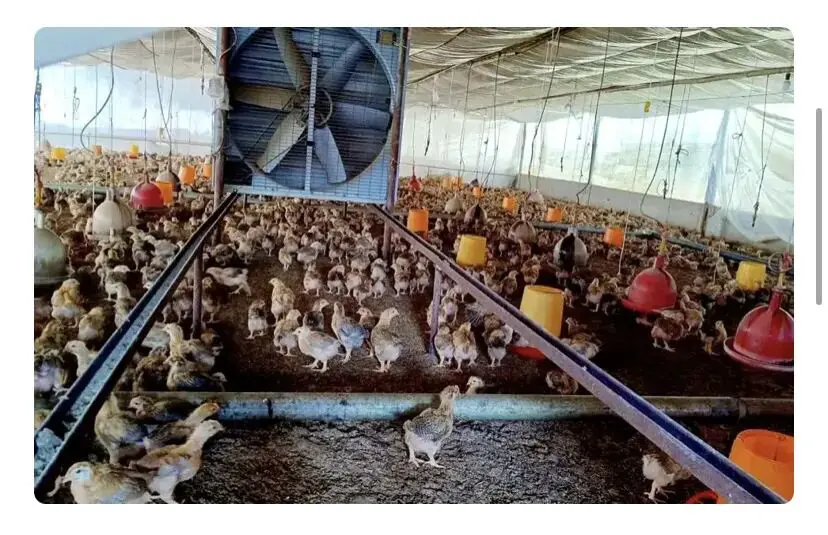 An image to describe post