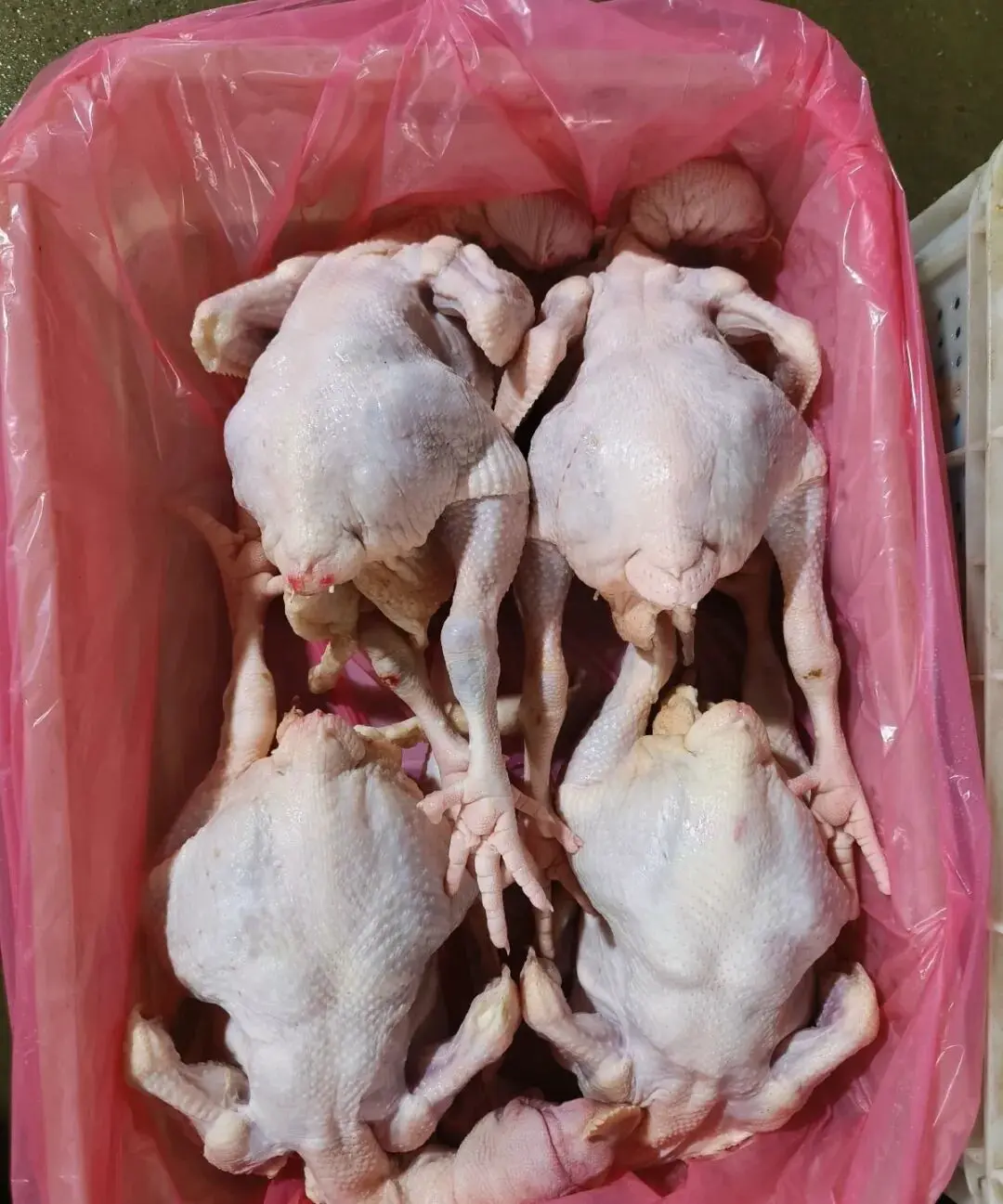 An image to describe post