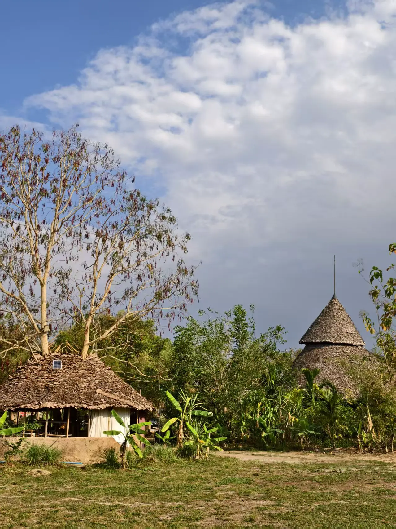 An image to describe post