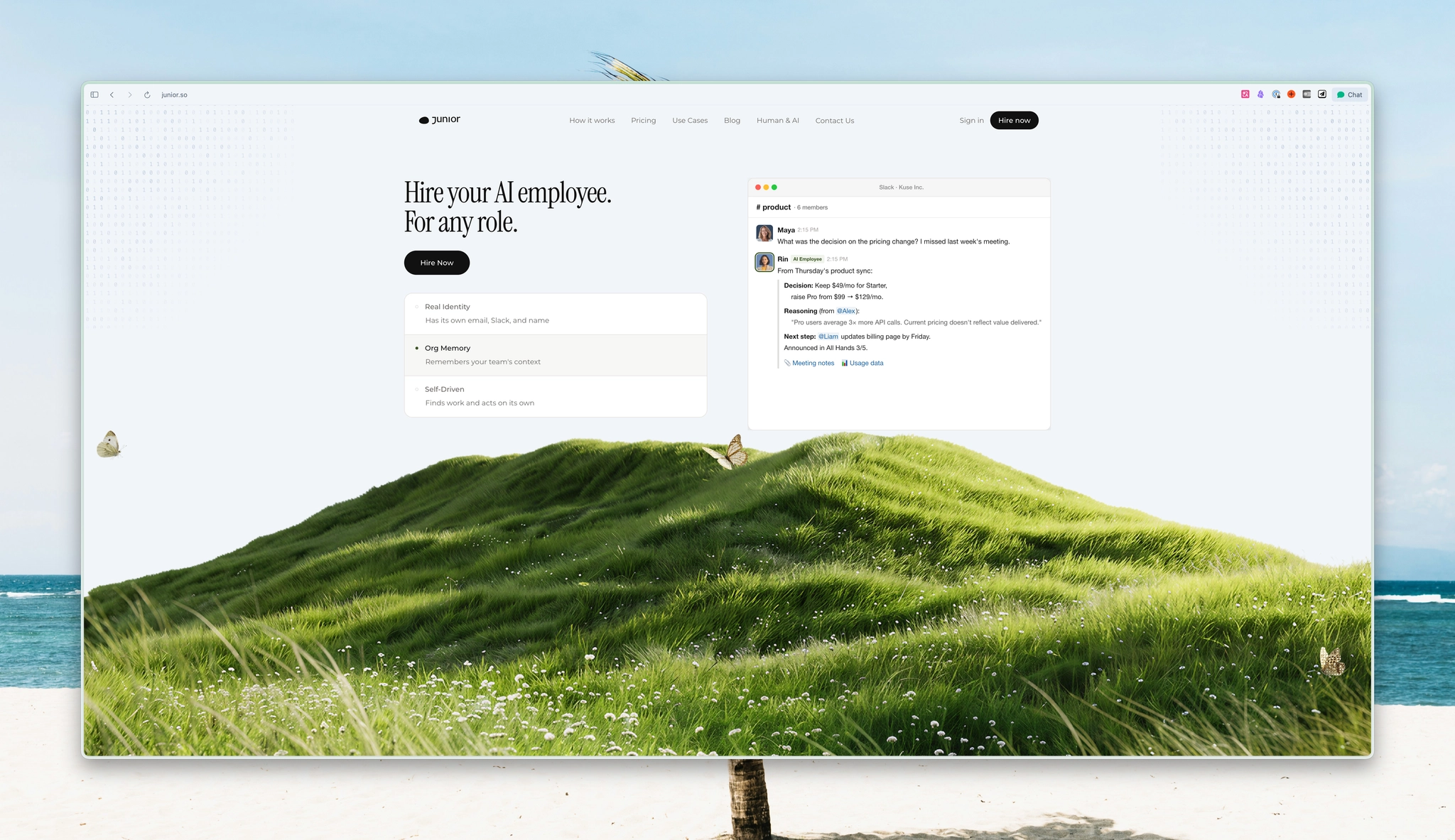 An image to describe post