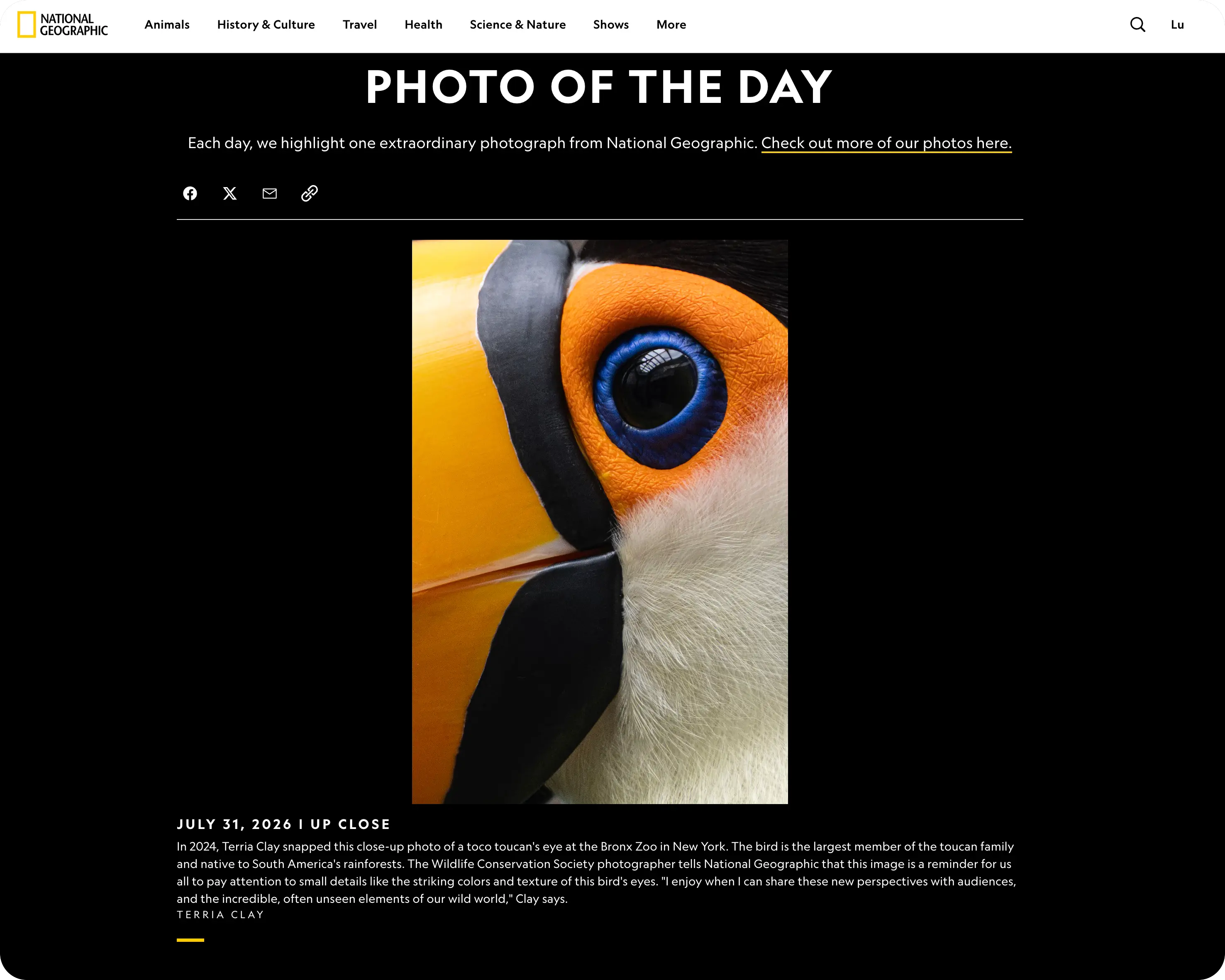 An image to describe post
