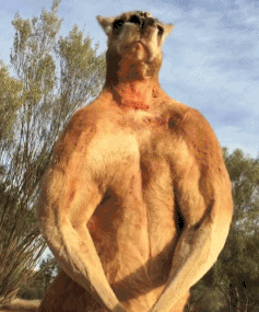 An image to describe post