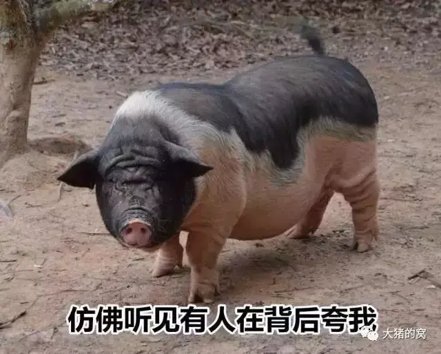 An image to describe post