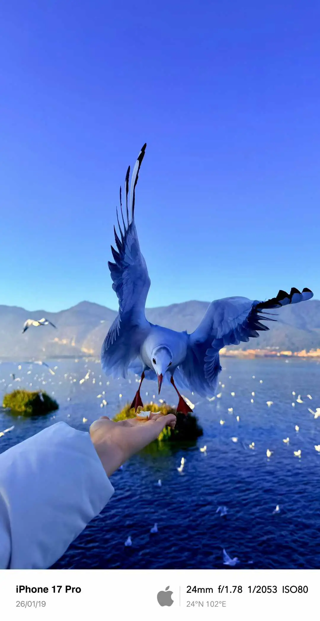 An image to describe post